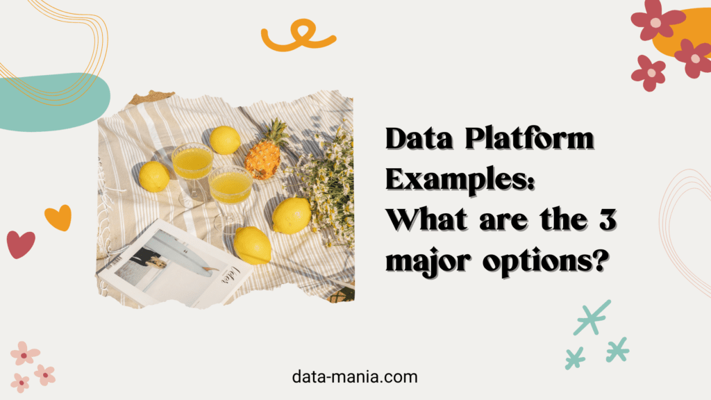 data platform examples