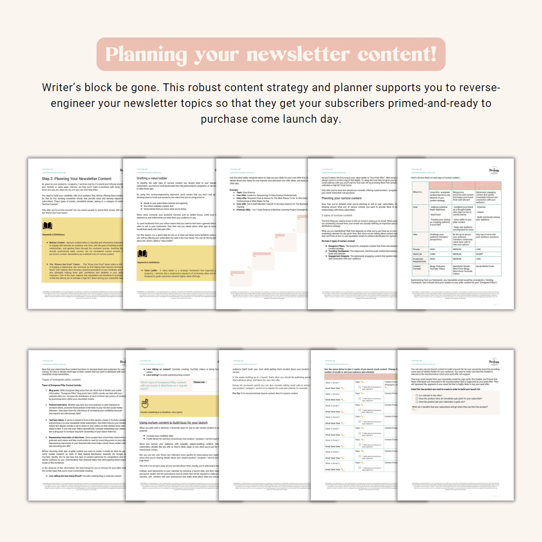 https://www.data-mania.com/wp-content/uploads/2023/06/The-Profitable-Newsletter-Playbook-Email-Marketing-Planner-Sneak-Peek-2.png