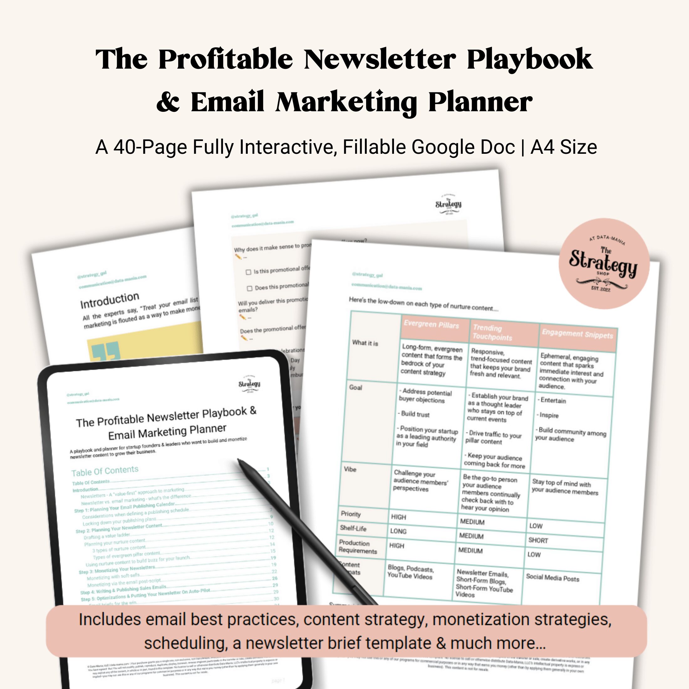 https://www.data-mania.com/wp-content/uploads/2023/06/The-Profitable-Newsletter-Playbook-Email-Marketing-Planner-Stack-1.png